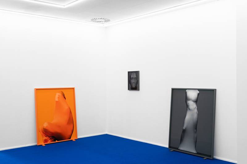 Vue de l'exposition “Spectrum” de Pierre Debusschere à 254 Forest, The Room, Bruxelles (2020).