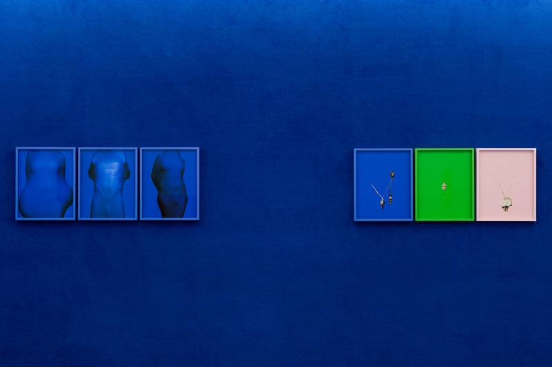 Vue de l'exposition “Spectrum” de Pierre Debusschere à 254 Forest, The Room, Bruxelles (2020).
