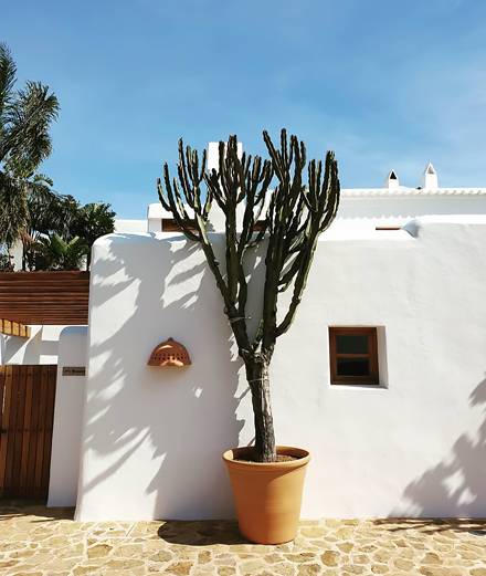 Hôtel Can Curreu, jardin secret de l'île d'Ibiza