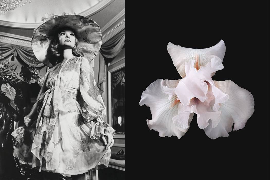 A gauche : Robe en mousseline imprimée rose, vert et jaune, collection haute couture printemps-été 1968. Christian Dior par Marc Bohan. Photographie Collection Dior Héritage. A droite : Photographie : Debi Shapiro.