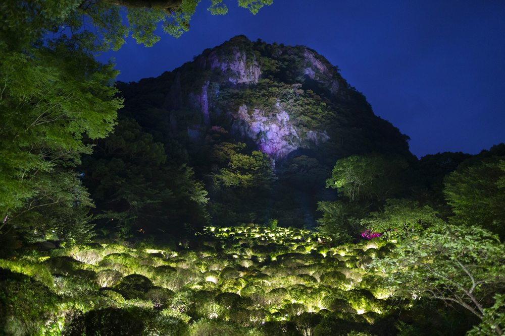 Portfolio: le collectif TeamLab transforme un parc japonais en œuvre d’art