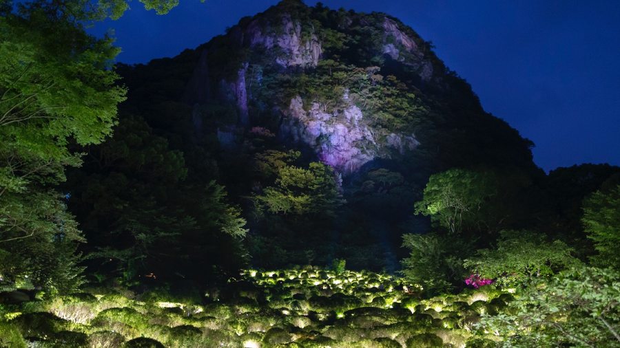 Portfolio: le collectif TeamLab transforme un parc japonais en œuvre d’art