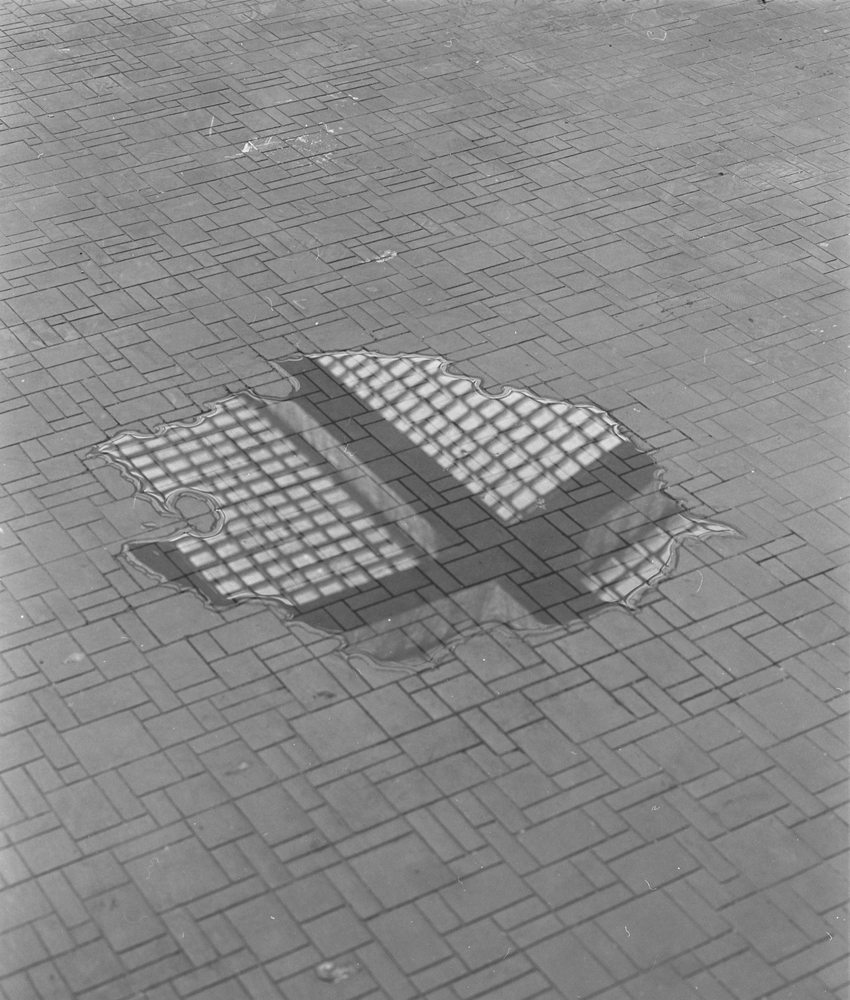 Rudolf Samohejl, “Pool” © Rudolf Samohejl (UMPRUM)