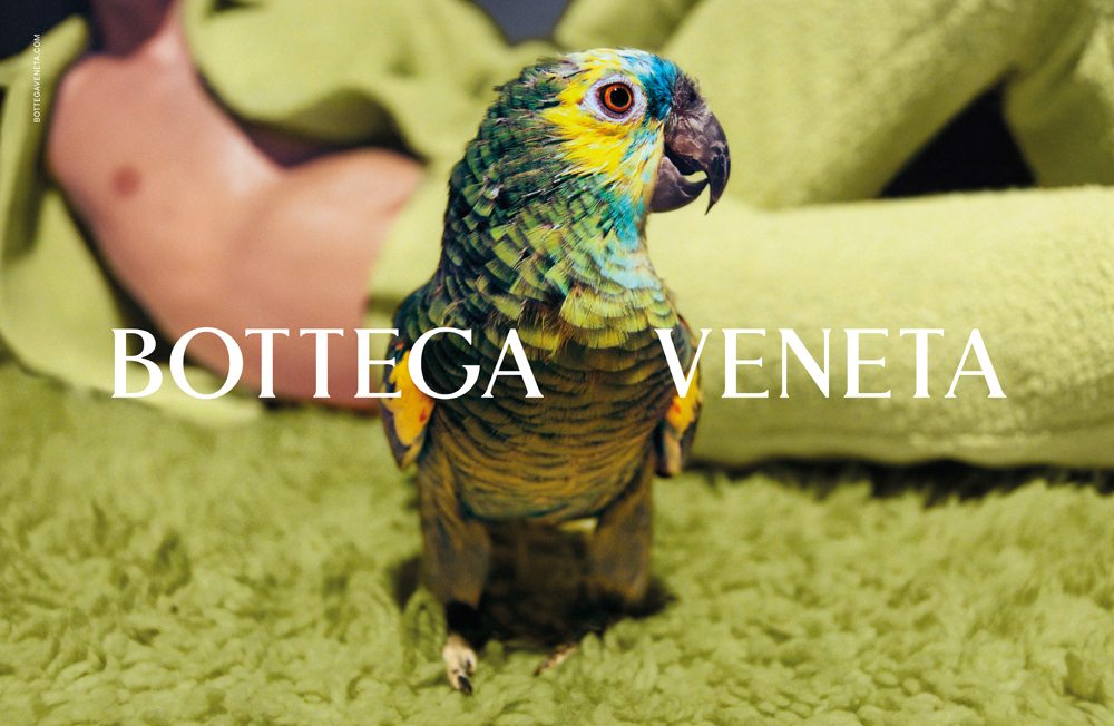 Quelles artistes reconnues Bottega Veneta invite-t-elle dans sa nouvelle campagne ?