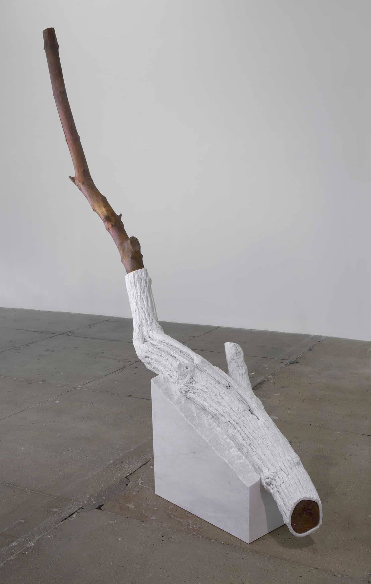 Giuseppe Penone, “Indistinti confine – Sapina (Indistinct Boundaries – Sapina)“ (2012). 620 000 €. Courtesy of Marian Goodman Gallery