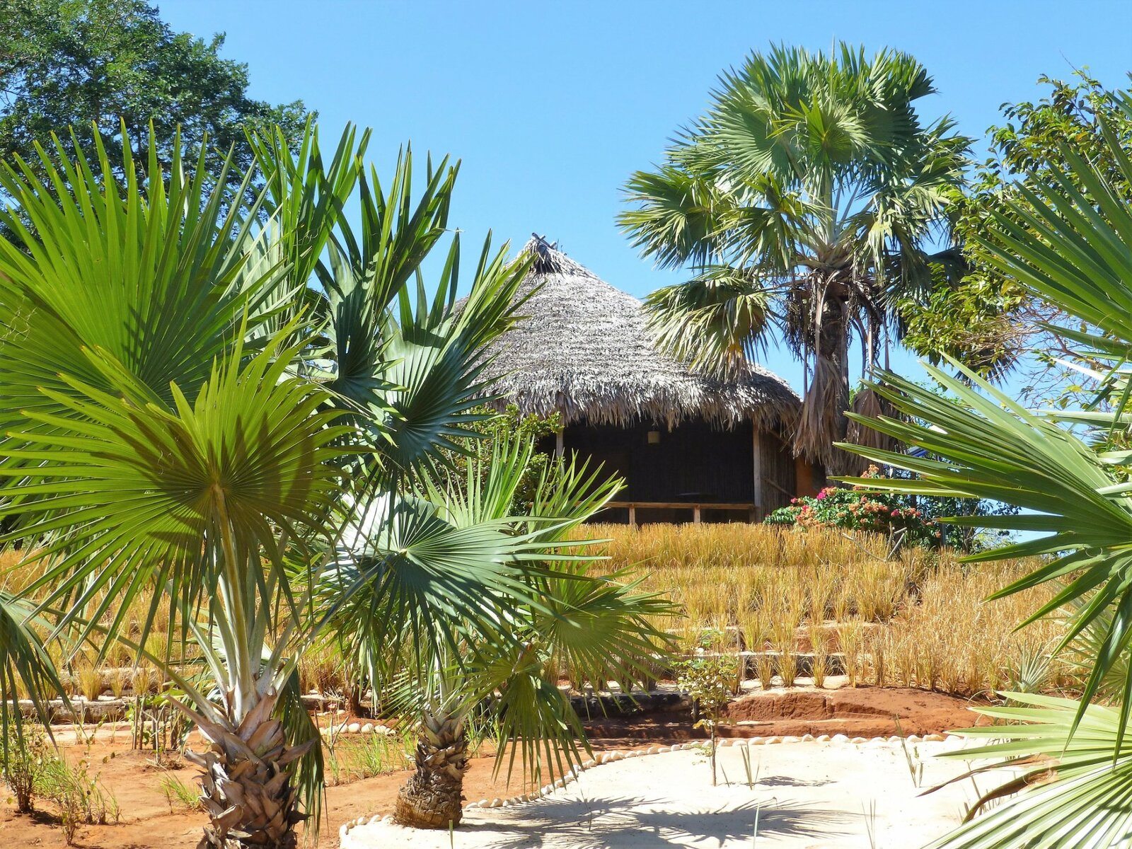 Madagascar : Les Terres Blanches, un éco-hôtel de luxe entre terre et mer 