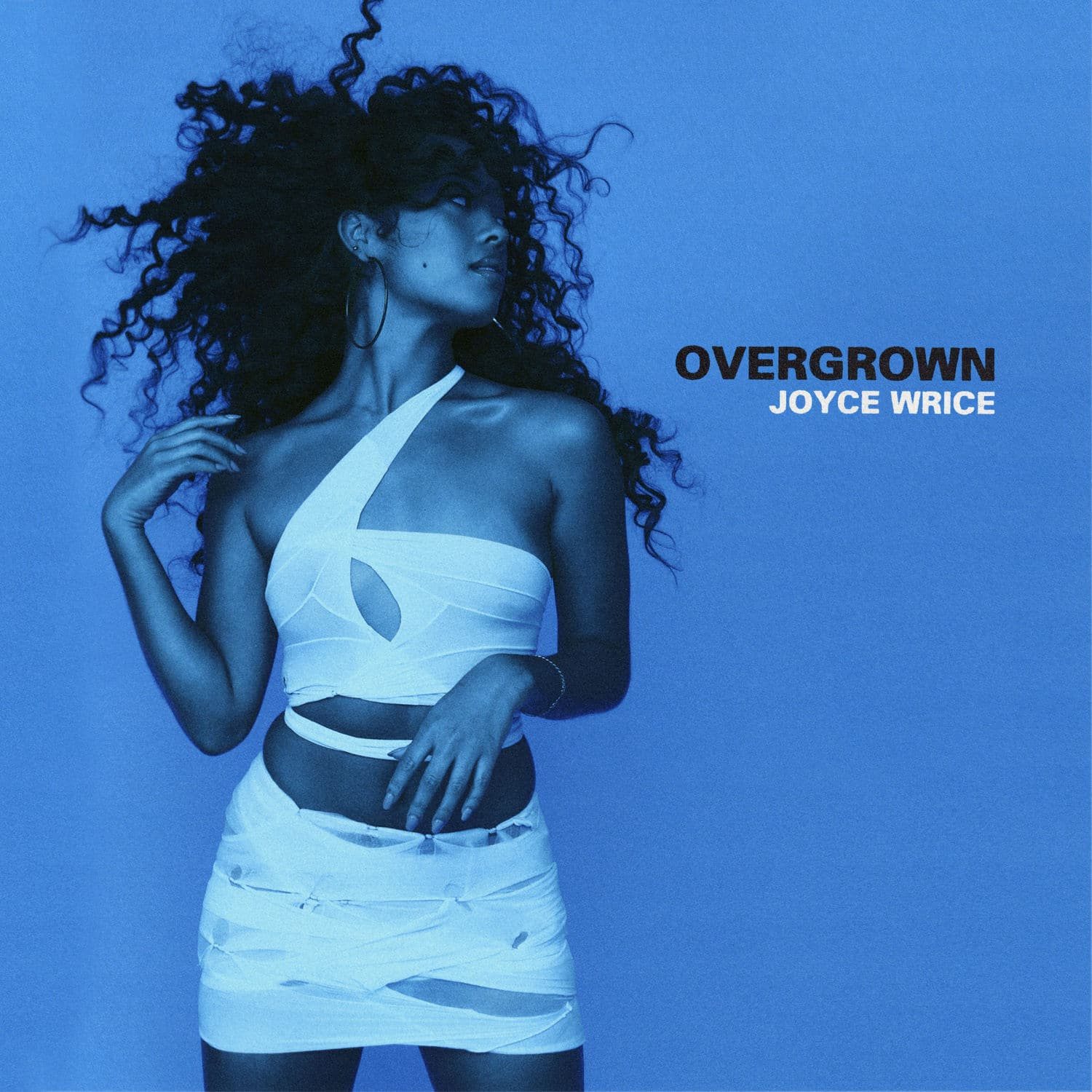 “Overgrown”, le premier album de Joyce Wrice, est sorti le 19 mars 2021 sur son propre label, Joyce Wrice Music.