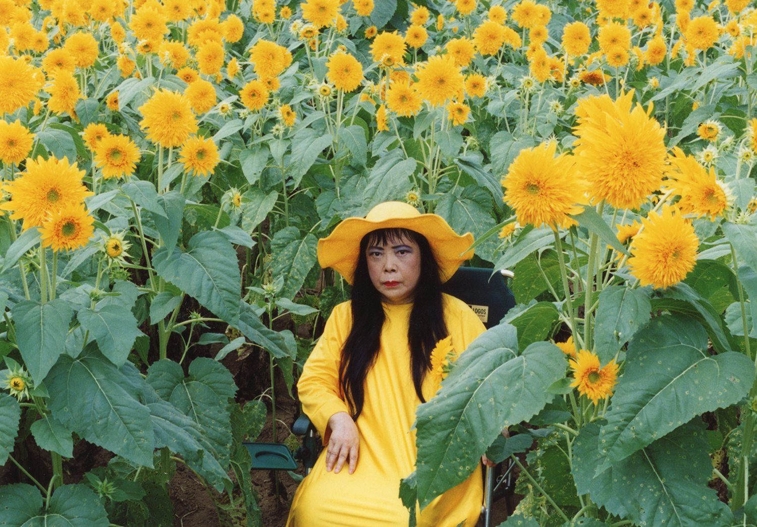 Yayoi Kusama, “Flower Obsession (Sunflower)”, Video Still, Collection of the artist