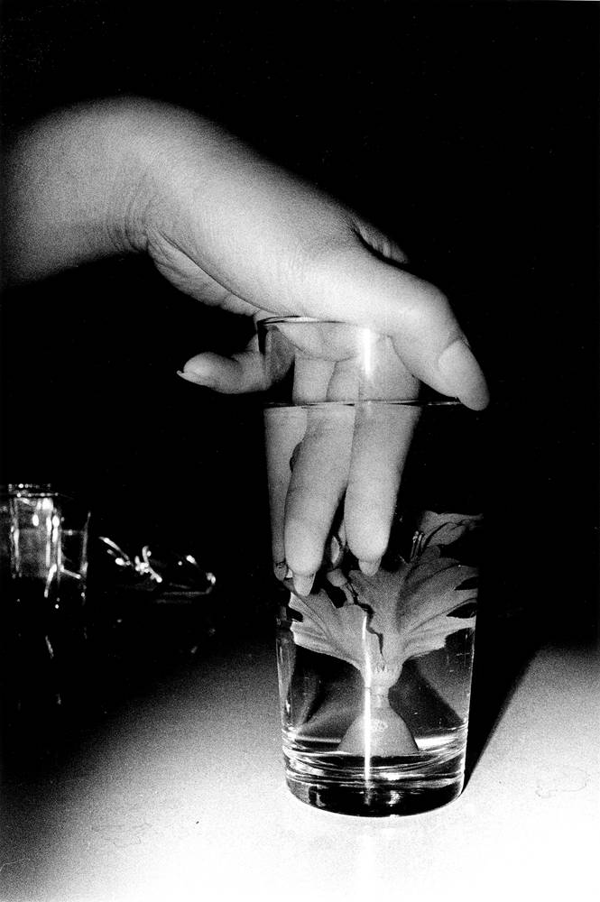Daido Moriyama, “Water Flower”, de la série “Lettre à Saint Loup”, 1990, Tirage gélatino-argentique, © Daido Moriyama Photo Foundation. Courtesy of Akio Nagasawa Gallery. 