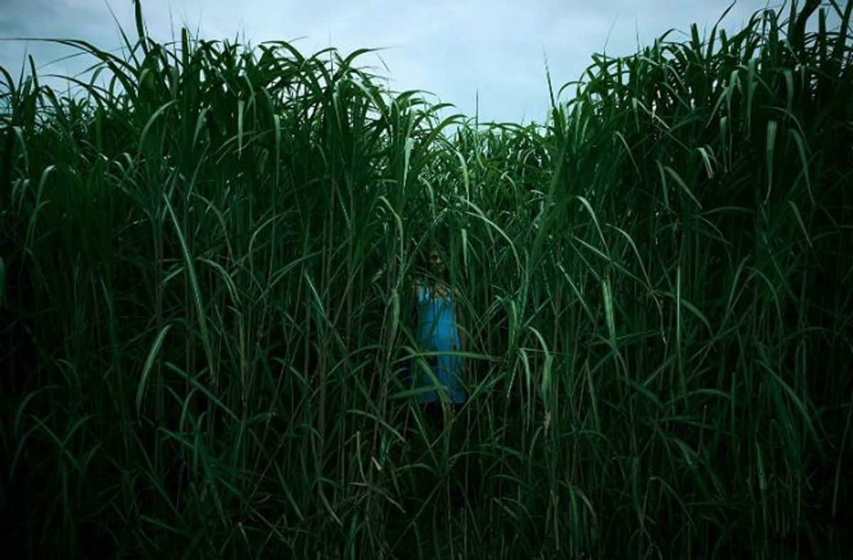 Laysla De Oliveira dans "Dans les hautes herbes" (2019) de Vincenzo Natali.