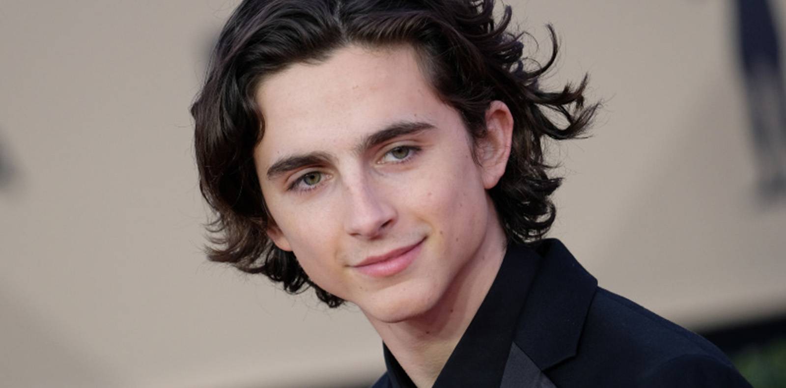After Johnny Depp, Timothée Chalamet will be the next Willy Wonka