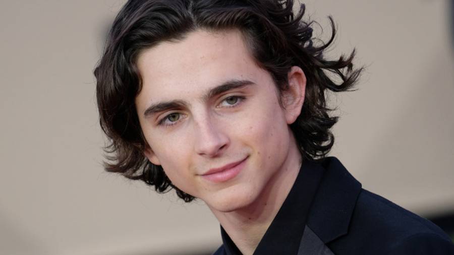 After Johnny Depp, Timothée Chalamet will be the next Willy Wonka