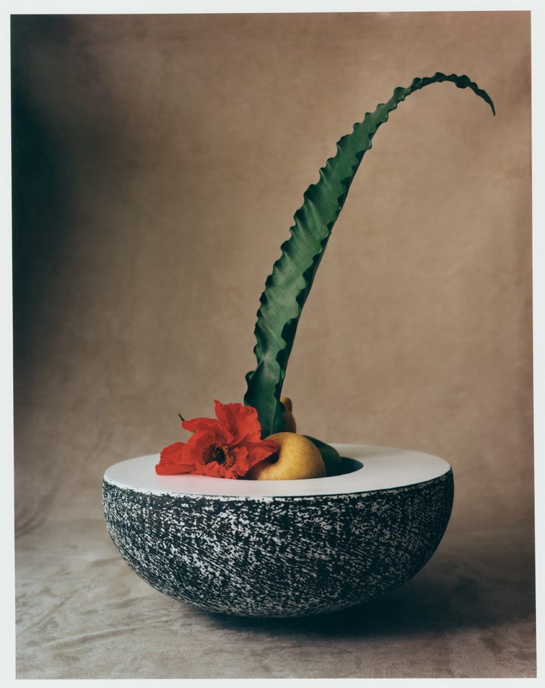 Kristin McKirdy, “Cible” (2020). Céramique, 15 x 35,5 x 35,5 cm. Signé. Pièce Unique. Galerie Pierre Marie Giraud