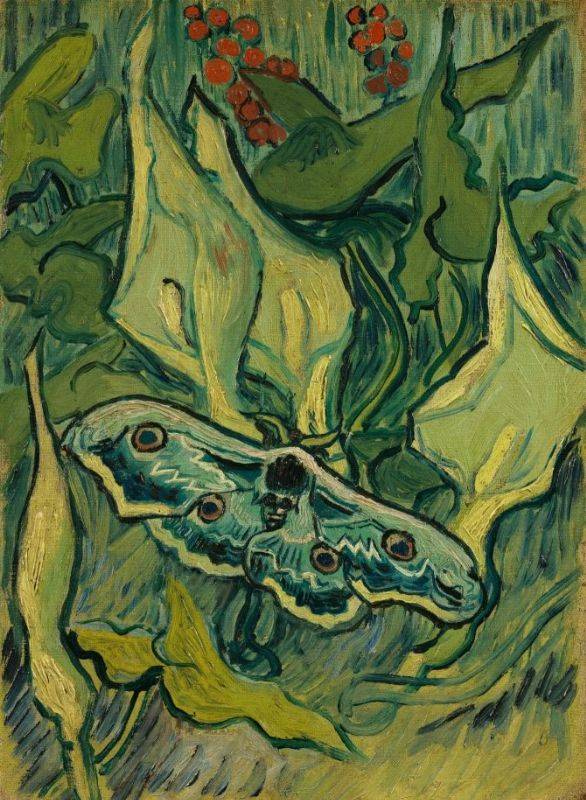 Vincent van Gogh, “Papillon de nuit géant”, Saint Rémy-de-Provence (mai-juin 1889). Van Gogh Museum, Amsterdam (Vincent van Gogh Foundation)