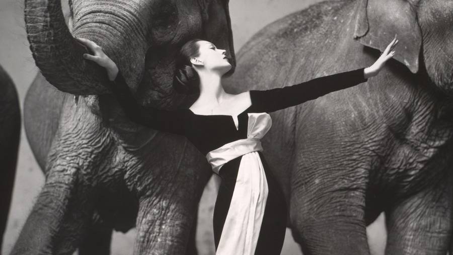 Le jour où Richard Avedon a réalisé la photographie de mode la plus chère de l’histoire
