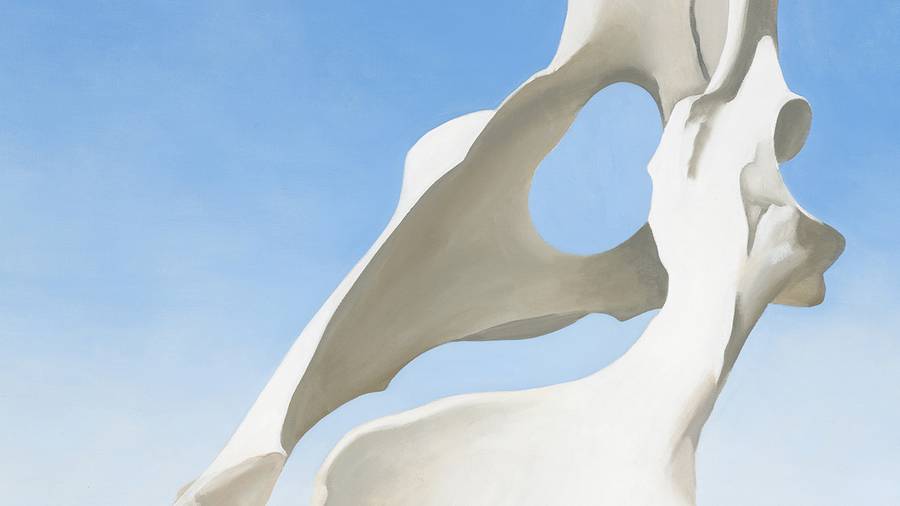 Georgia O’Keeffe au Centre Pompidou : son obsession pour... les ossements d'animaux