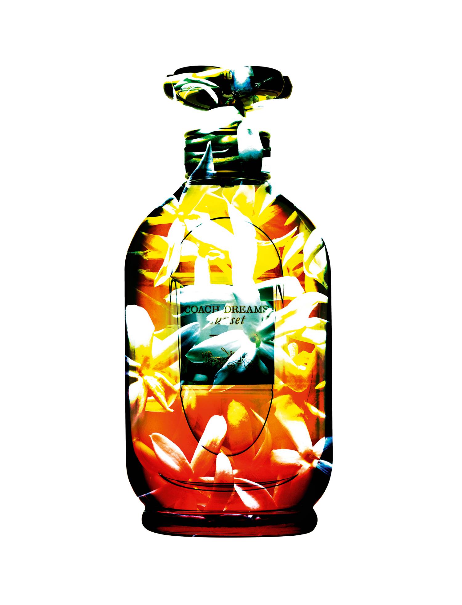 “Coach Dreams Sunset”, eau de parfum, COACH.