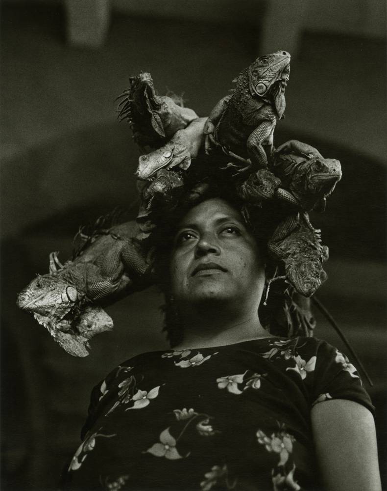 Graciela Iturbide, “Nuestra Señora de las Iguanas”, Juchitán, Oaxaca (1979). Tirage gélatino-argentique.