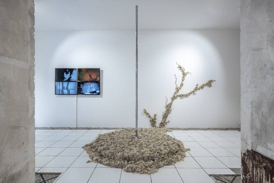 Vue de l’exposition de Paloma Vauthier, “Metanova” à la Galleria Continua, Paris. Courtesy de l’artiste et Galleria Continua. Photo : Oak Taylor-Smith