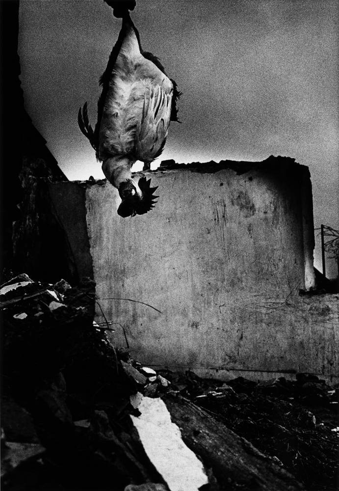 Paulo Nozolino, “Blodelsheim” (1999). © Paulo Nozolino © Crédit photo : archives Paulo Nozolino, Lisboa
