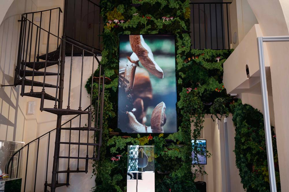 Champignons géants et graines du futur : la nouvelle exposition de Stella McCartney à Milan 