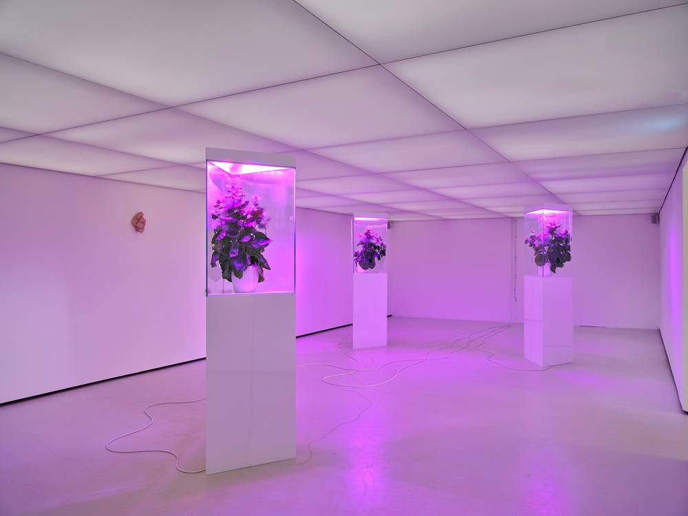 Dana-Fiona Armour, vue de l'exposition “Projet MC1R” à la Collection Lambert, Avignon, 2022.