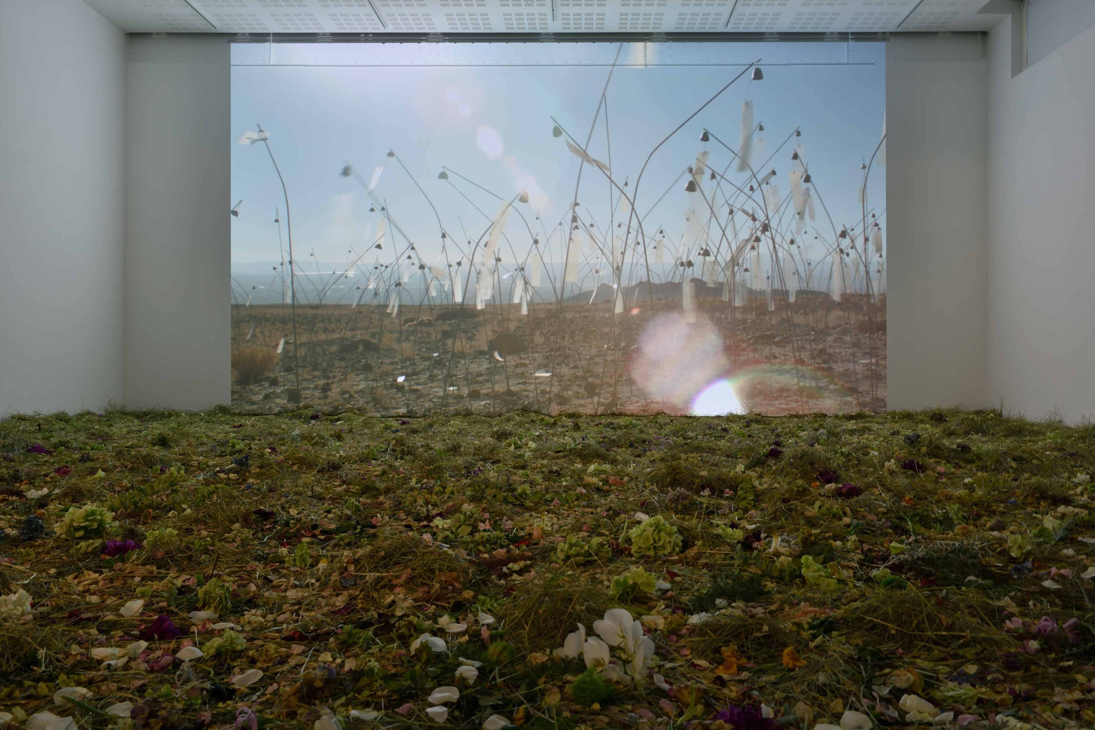 Animitas (Small Souls), 2015, video projection (Animitas; 13 hours 6 seconds), flowers hay, one bench.     Courtesy de l'artiste et Marian Goodman Gallery.  Photo : Rébecca Fanuele