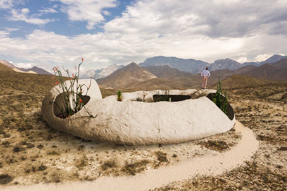 Escargot géant fossilisé dans le désert par Diego A. au Mexique ©Airbnb