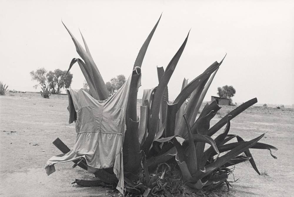 Helen Levitt, Mexico, 1941 © Film Documents LLC, courtesy Galerie Thomas Zander, Cologne