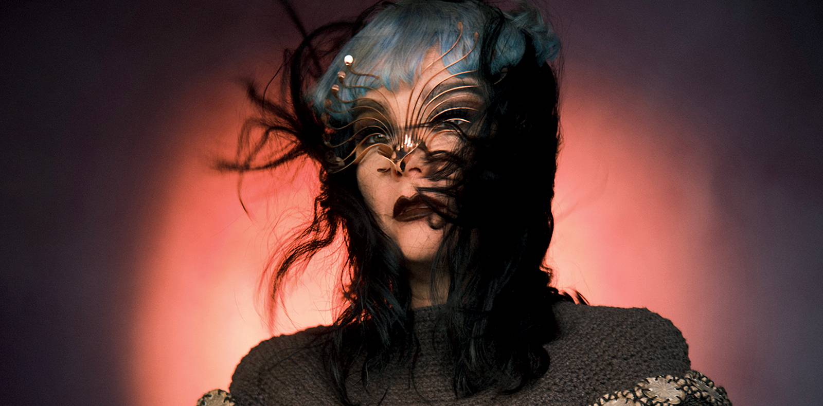 Interview with Björk : “ I see a lot of hope in mushrooms!”