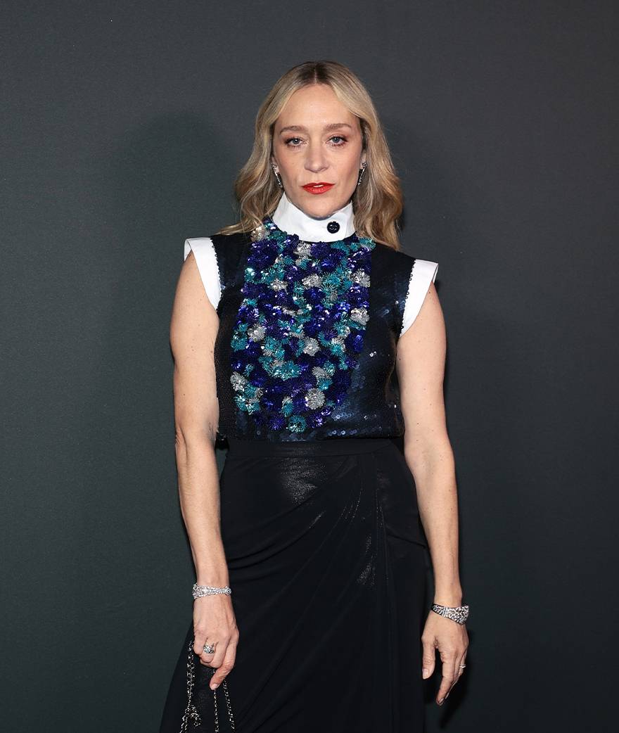 Chloë Sevigny: which French project will feature the actress?