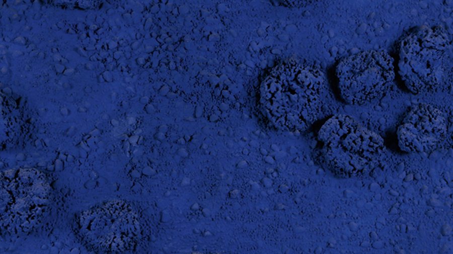 Plongée dans le bleu d’Yves Klein, au musée Soulages de Rodez