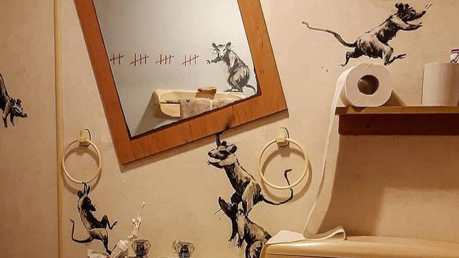 Banksy invite des rongeurs dans sa salle de bain