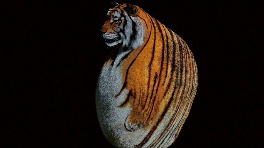 De l’homme-tigre aux migrants, les œuvres coup de poing du Dhaka Art Summit