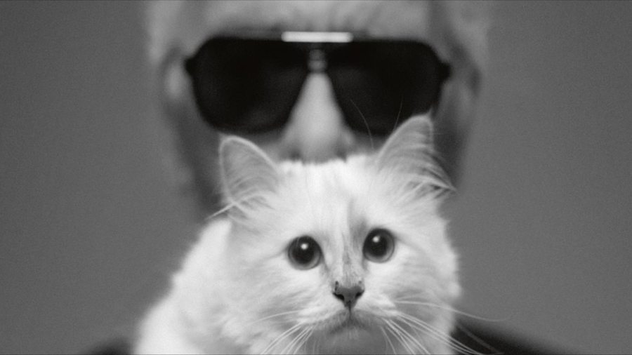 Exclusive: Karl Lagerfeld reveals all about Choupette