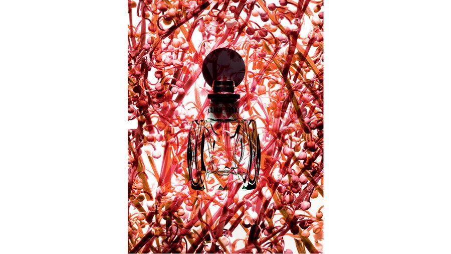"Camouflages", extrait de la série de parfums photographiée par Guido Mocafico