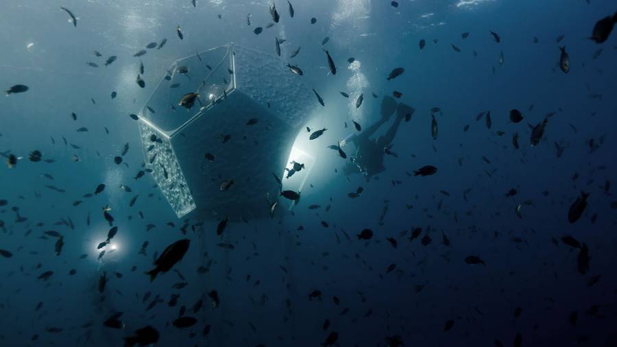 Doug Aitken, l'artiste qui expose 10 mètres sous les mers