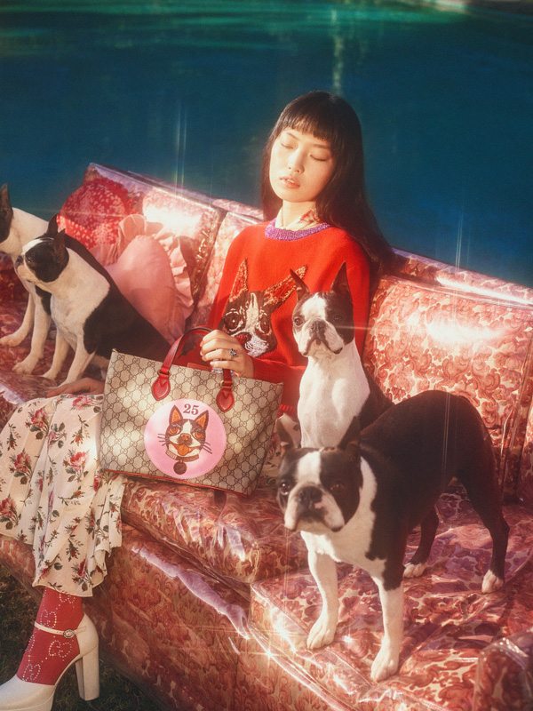 Gucci dévoile une collection inédite pour célébrer l’année du Chien