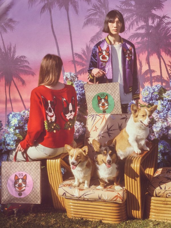 Gucci dévoile une collection inédite pour célébrer l’année du Chien