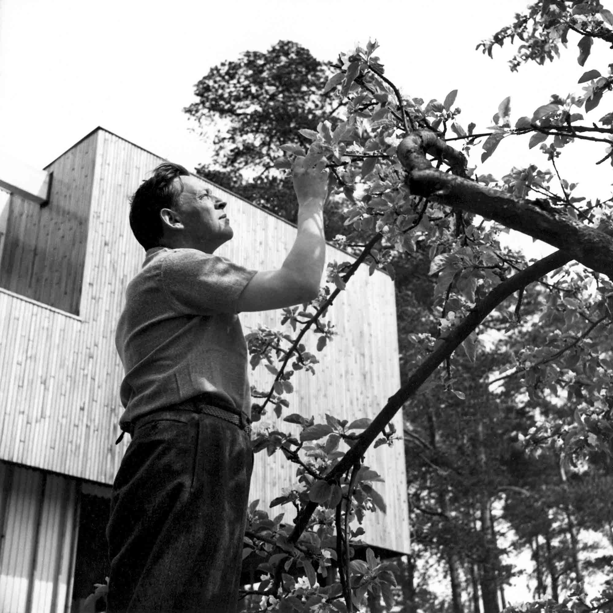 Alvar Aalto. Architecte et designer, jusqu’au 1er juillet 2018, Cité de l’architecture et du patrimoine.