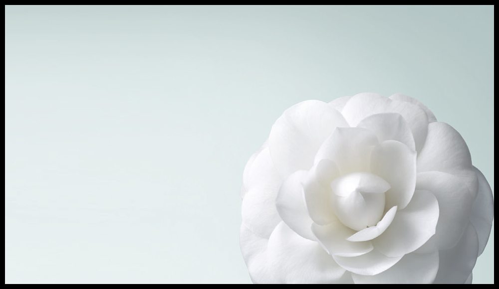 Nouvelles dates : Chanel cultive la Beauté au Jardin des Plantes, à Paris