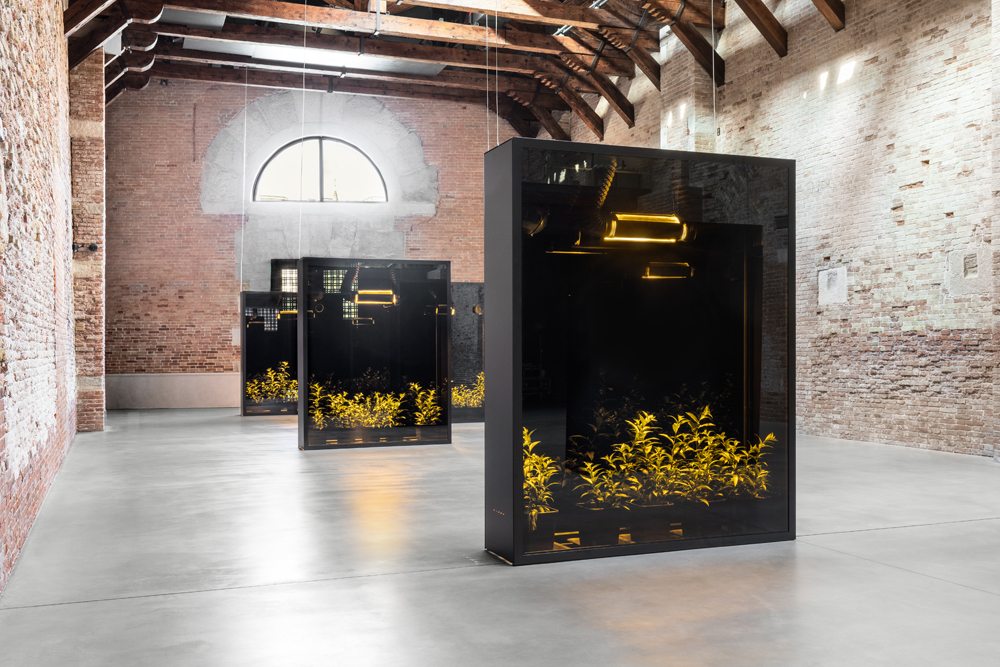 En image : L’exposition “Luogo e segni” à la Biennale de Venise