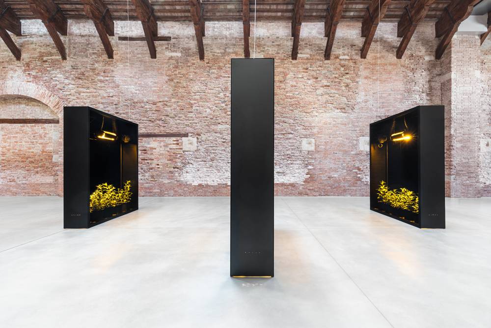 En image : L’exposition “Luogo e segni” à la Biennale de Venise