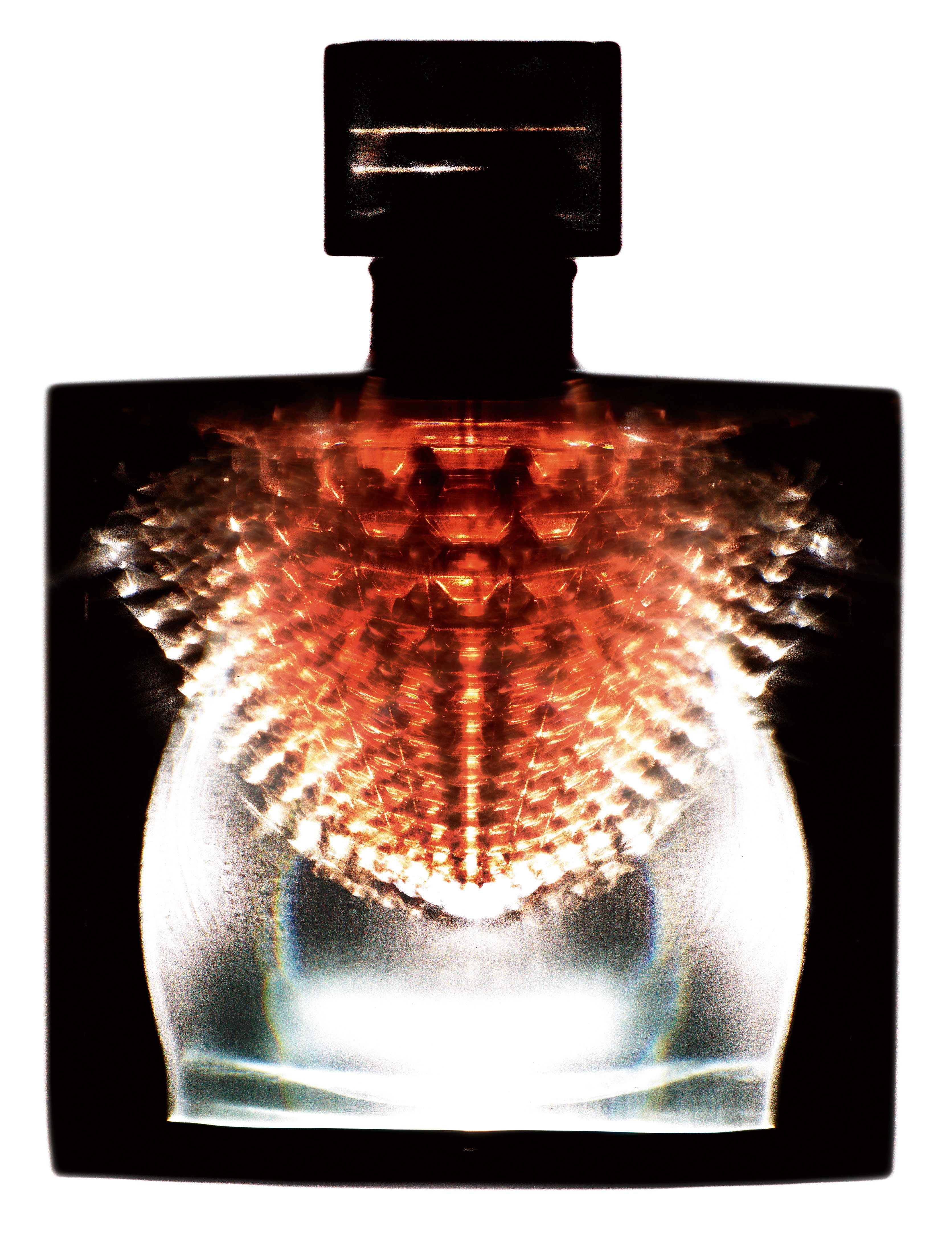 “Révélation", les nouveaux parfums photographiés par Guido Mocafico