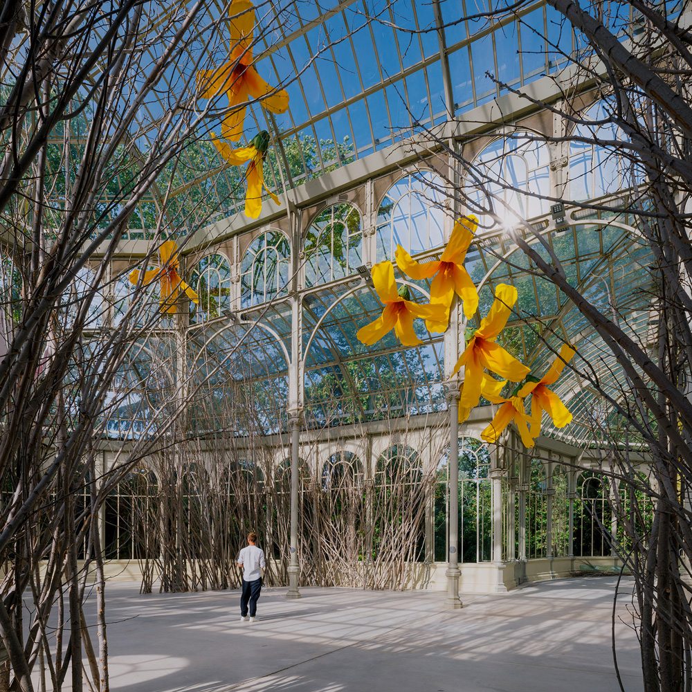 L'artiste Petrit Halijaj fait son nid fleuri dans le palais de Cristal de Madrid