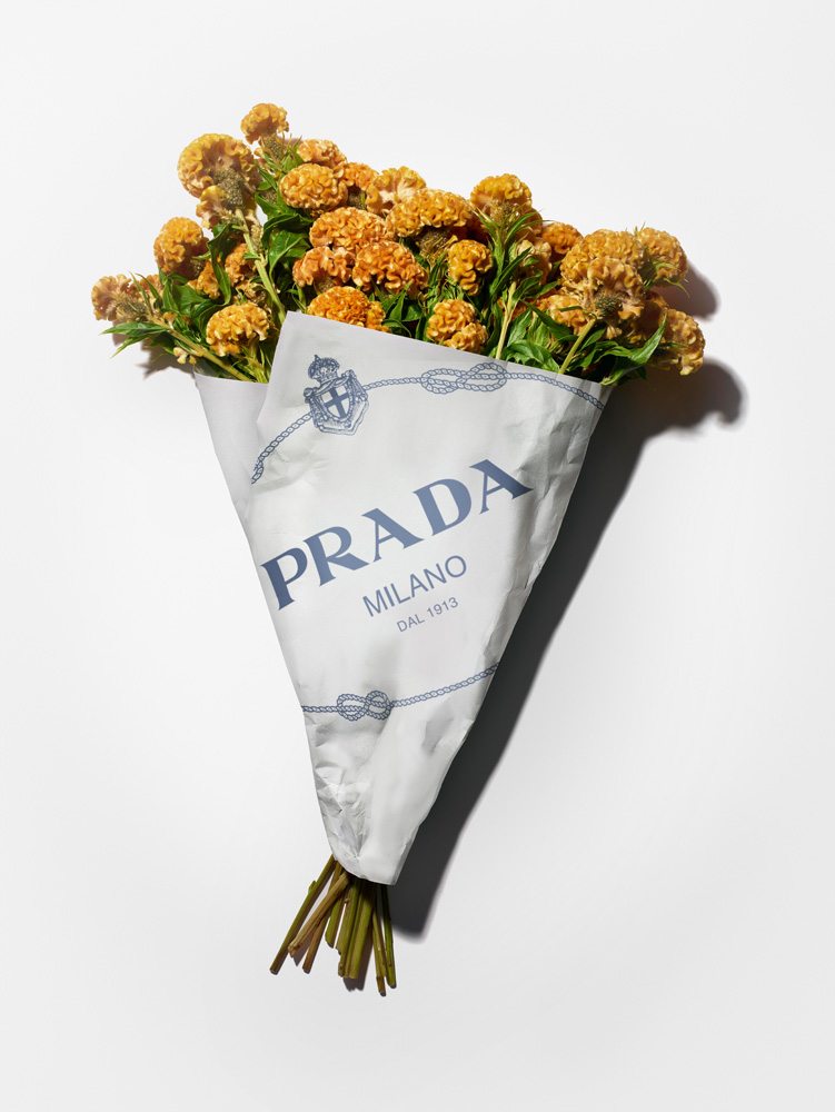 Prada fait sa campagne chez les fleuristes 
