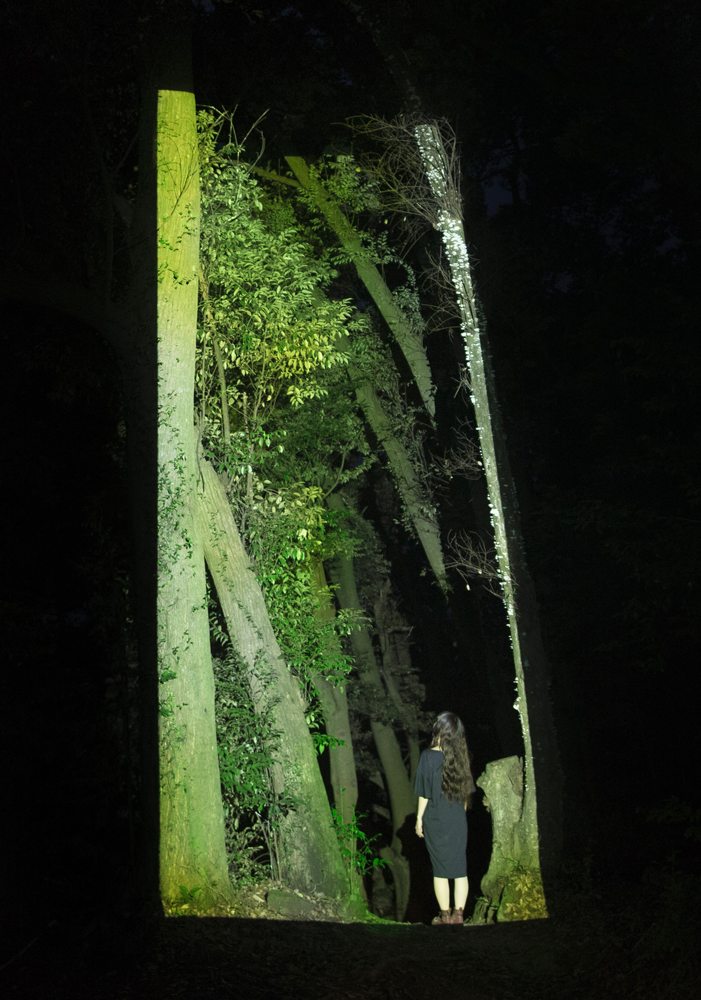 Quand un parc de 50 hectares se transforme en œuvre d'art nocturne