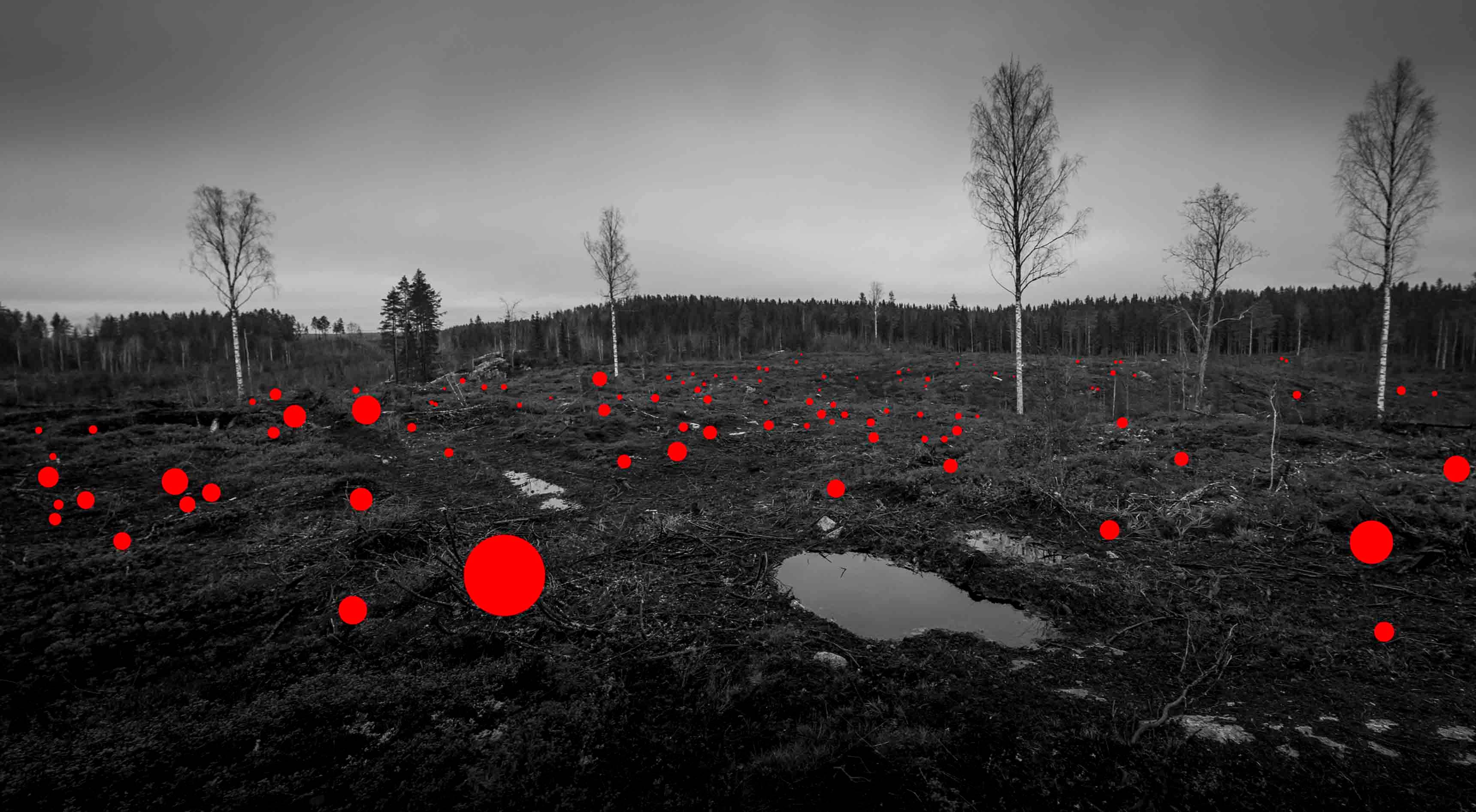 “100 Mistakes Made by Previous Generation”, 100 hectares, Jaakko Kahilaniemi, 2017.