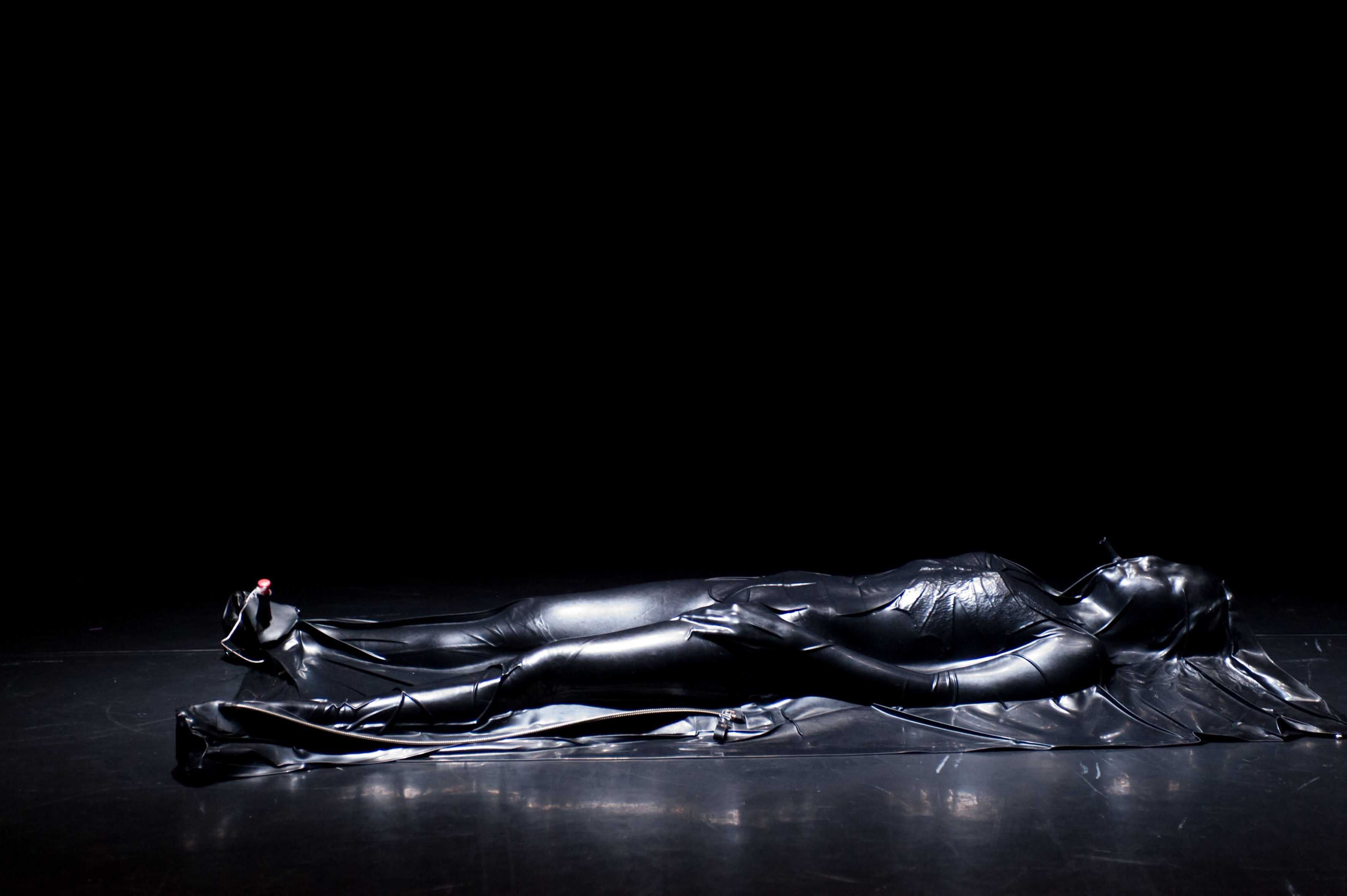 Vue de la performance “Sylphides” (2009) de Cecilia Bengolea et François Chaignaud. Credits photo Alain-Monot. 