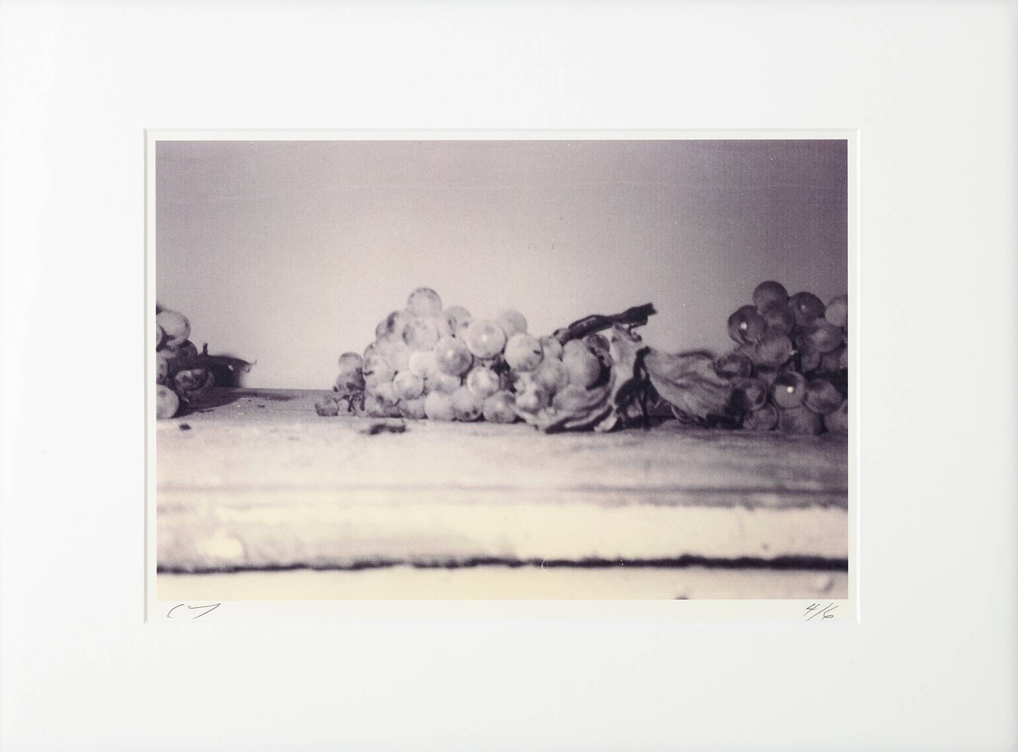 Cy Twombly, 1997, “Grapes” (Gaeta). © Fondazione Nicola Del Roscio. Courtesy archives Fondazione Nicola Del Roscio.